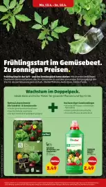 PENNY DE folder week 16 Pagina 30