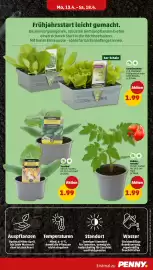 PENNY DE folder week 16 Pagina 31