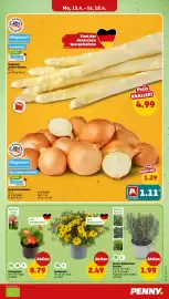 PENNY DE folder week 16 Pagina 7