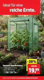 Thomas Philipps folder week 16 Pagina 3