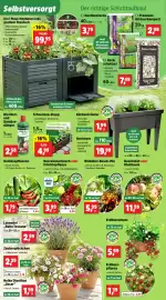 Thomas Philipps folder week 16 Pagina 4