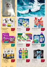 Dornseifer Prospekt woche 16 Seite 14