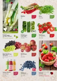 Dornseifer Prospekt woche 16 Seite 7