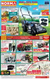 Norma Prospekt woche 17 Seite 1