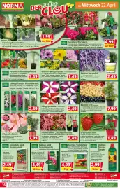 Norma Prospekt woche 17 Seite 16