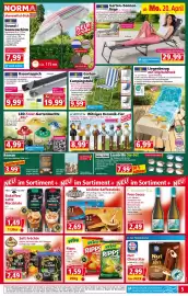 Norma Prospekt woche 17 Seite 5
