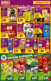 Norma Prospekt woche 17 Seite 9