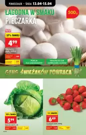 Biedronka gazetka tydzień 16 Strona 32