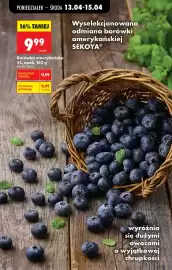 Biedronka gazetka tydzień 16 Strona 34