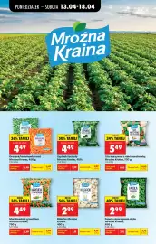 Biedronka gazetka tydzień 16 Strona 43