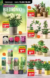 Biedronka gazetka tydzień 16 Strona 83