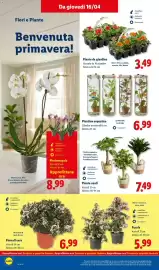 Volantino Lidl settimana 16 Pagina 26