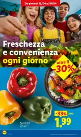 Volantino Lidl settimana 16 Pagina 4