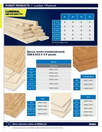 RONA flyer Page 4