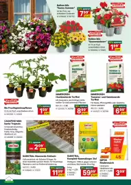 Lagerhaus Flugblatt Seite 2