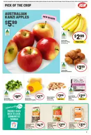 IGA catalogue week 16 Page 10
