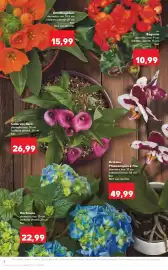 Catalog Kaufland săptămâna 16 Pagină 8