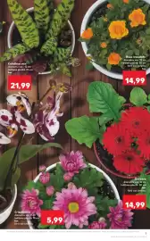 Catalog Kaufland săptămâna 16 Pagină 9