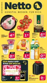 NETTO Prospekt woche 17 Seite 1