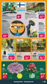 NETTO Prospekt woche 17 Seite 19