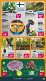 NETTO Prospekt woche 17 Seite 19