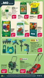 NETTO Prospekt woche 17 Seite 20