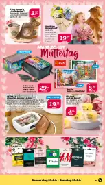 NETTO Prospekt woche 17 Seite 25