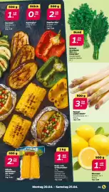 NETTO Prospekt woche 17 Seite 3