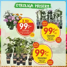 EKO reklamblad Sida 2