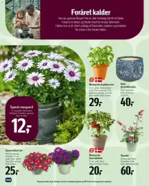 Føtex tilbudsavis Side 46
