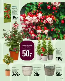 Føtex tilbudsavis Side 47