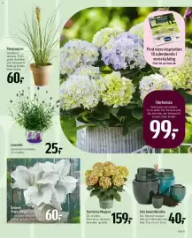 Føtex tilbudsavis Side 49