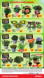 Penny Market leták Strana 8