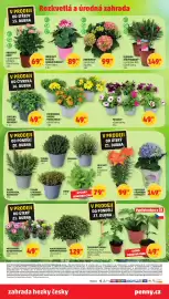 Penny Market leták Strana 8