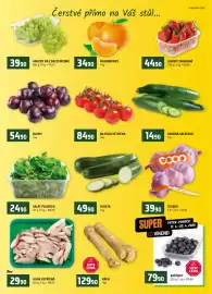 Terno leták týden 16 Strana 6