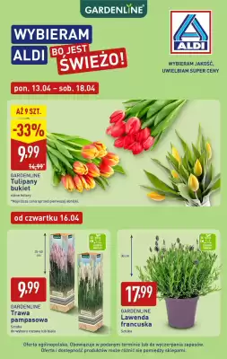 ALDI (ważność do 18-04)