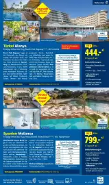 Lidl Flugblatt Seite 13