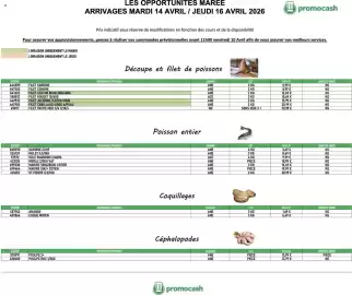 Catalogue Promocash page 1