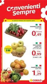 Volantino Conad Pagina 3