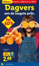 Lidl folder week 16 Pagina 2