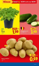 Lidl folder week 16 Pagina 5