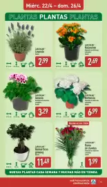 Folleto ALDI semana 17 Página 15