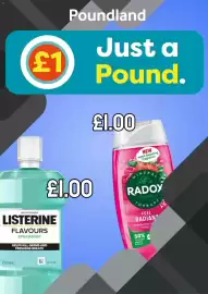 Poundland leaflet Page 1