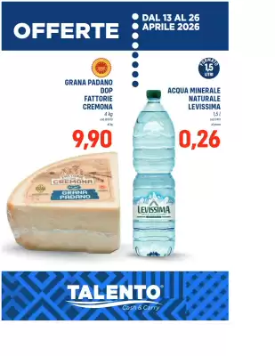 Talento Professional Store (valido fino al 26-04)