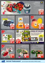 Edeka DE folder week 16 Pagina 4