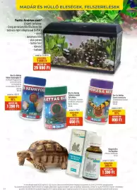 Alpha Zoo akciós újság Oldal 24