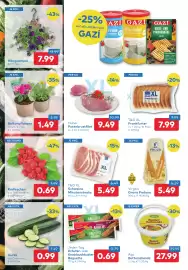 T&G Flugblatt Seite 2