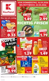 Kaufland DE folder week 16 Pagina 1