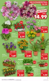 Kaufland DE folder week 16 Pagina 5