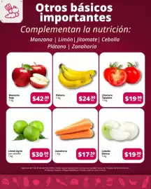 Catálogo SuperISSSTE Página 3